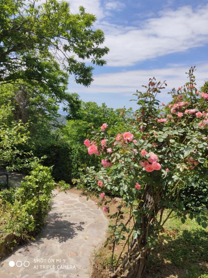 Un Giardino Sul Lago Montefiascone Exterior foto