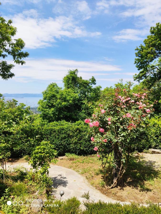 Un Giardino Sul Lago Montefiascone Exterior foto
