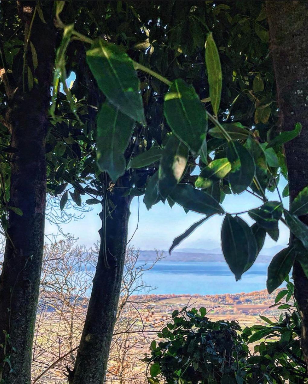 Un Giardino Sul Lago Montefiascone Exterior foto